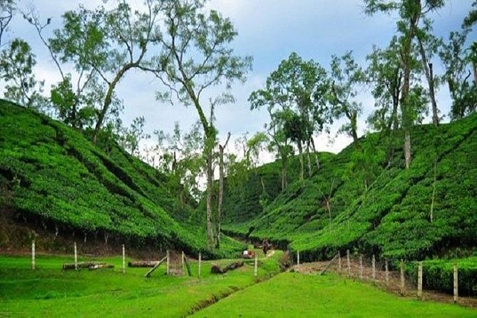 Sylhet Branch